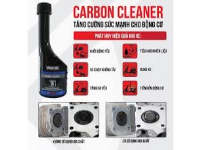 CARBON CLEANER